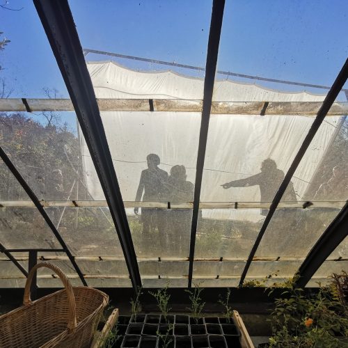 WhatsApp Image 2024-10-14 à 14.31.01_d333fac7